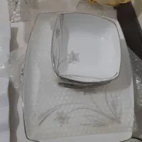 ظروف پذیرایی|ظروف سرو و پذیرایی|اصفهان, باغ فدک|دیوار