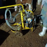 فروش شیر دوش