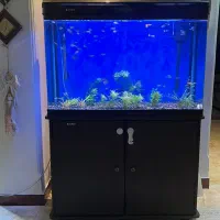 آکواریوم شیشه خم کمری وارداتی