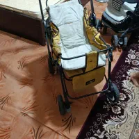 کالسکه و کریر و روروئک