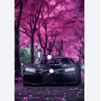 کارگر کارواش مرودشت