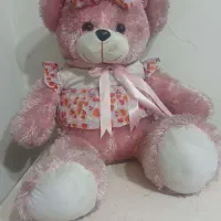 شاسخین( خرس بزرگ)