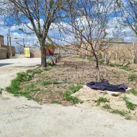 زمین مسکونی