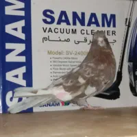 نر سرور پرشی|پرنده|قم, زند آباد|دیوار