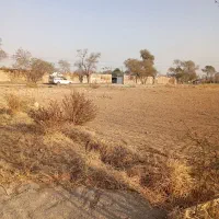 زمین باغچه ای برای فروش