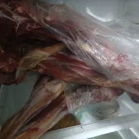 گوشت بره شیشک