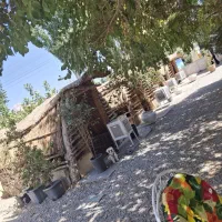 باغ رستوران شهلایی|خدمات پذیرایی، مراسم|کرمانشاه, |دیوار