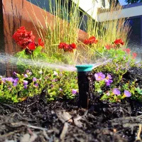 اجرای آبیاری قطره‌ای بارانی مه‌پاش