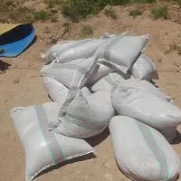 سبوس گندم دامی