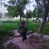 باغ به قیمت یک متر موکت