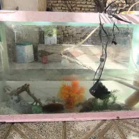 اکواریوم کامل