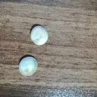 مهره|کلکسیون اشیاء عتیقه|تربتحیدریه, حسنی بالا|دیوار