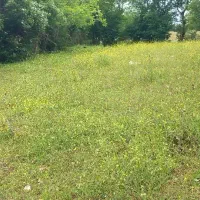 فروش-زمین-داخل-بافت-300-متر