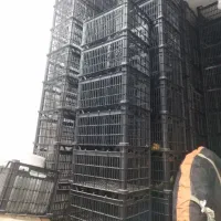 سبد میوه|ظروف نگهدارنده، پلاستیکی، یک‌بارمصرف|خرم‌آباد, |دیوار