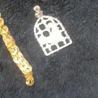 پلاک مرغ امین