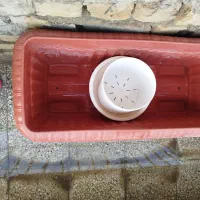 جاگلدانی
