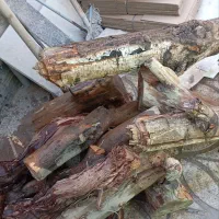 ضایعات چوب|حراج|پاکدشت, پاکدشت (مامازند)|دیوار