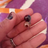 مهره قدیمی اصل|کلکسیون اشیاء عتیقه|دوگنبدان, |دیوار