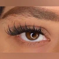 کاشت مژه موقت از ۲۹۰ اکستنشن از ۵۵۰ تماس بگیرید|خدمات آرایشگری و زیبایی|تهران, سازمان برنامه شمالی|دیوار