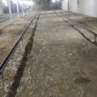 بهبهان ۱  کود مرغی