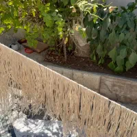 رشته|خوردنی و آشامیدنی|شیروان (خراسان), |دیوار