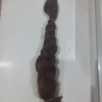 موی رنگ شده قهوه ای ۳۴سانت|آرایشی، بهداشتی، درمانی|تهران, شمیراننو|دیوار