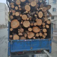 خرید چوب|خدمات باغبانی و درختکاری|شاهرود, |دیوار