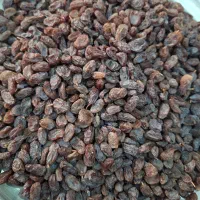 کشمش بوانات