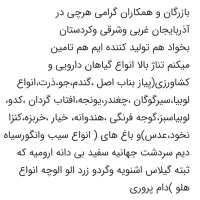 پیاز. وسیب زمینی ارزان‌تر از همه جا