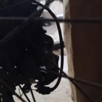 دوچرخه|دوچرخه، اسکیت، اسکوتر|فامنین, |دیوار