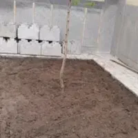 کشاورزی خاک کود مناسب