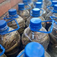 فروش خیارشور ترد وخوشمزه تازه