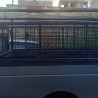 اتاق آریسان