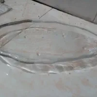 ظروف پذیرایی پیرکس|ظروف سرو و پذیرایی|هشتگرد, شهرک پارسیان|دیوار