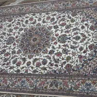 فروش فرش دست بافت ۲در۳|فرش|هرند, |دیوار