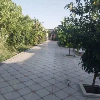 ویلاباغ-بنجعفرکوچه-نهال