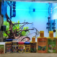 غذا و دارو تروپیکال و تترا آلمان و بیوکیت فرانسه