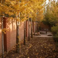 کاهگل سنتی ضداب با بوی خاک|خدمات پیشه و مهارت|ساری, |دیوار