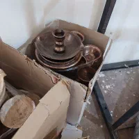 انواع گل گلدان|گل و گیاه طبیعی|شوش, |دیوار