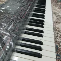 کیبورد کرگ pa4x ارنجر