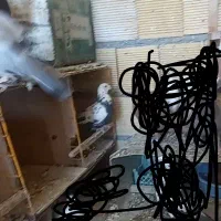 گلی سیاه ماده گم کردم