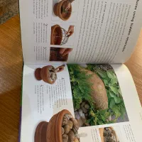 کتاب طراحی و فضای سبز  Weekend garden project|کتاب و مجله آموزشی|تهران, شارق|دیوار