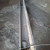 آخور دامی گوسفند بره