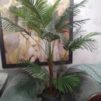 درختچه|گل مصنوعی|کرج, بنیاد|دیوار