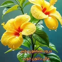 خدمات نظافتی سالار تضمینی