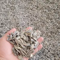 تخمه خام و بوداده چینی|خوردنی و آشامیدنی|خمینی‌شهر, |دیوار