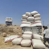 کاه 12500|لوازم جانبی حیوانات|دهدشت, |دیوار