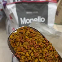 جوسرا مونلو هپی کت