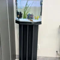 آکواریوم ماهیران همراه با پایه