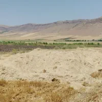 کاه نرم و درجه ۱